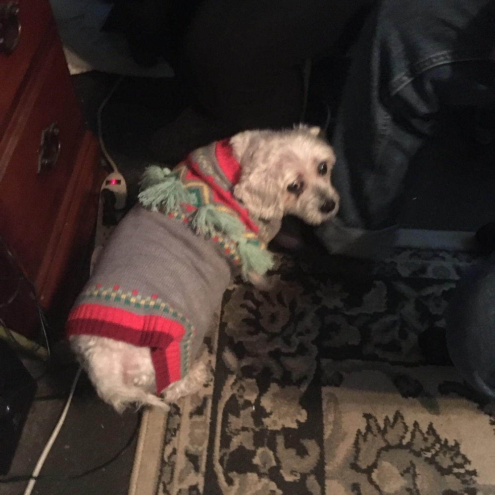 Meet your Posher, Michelle